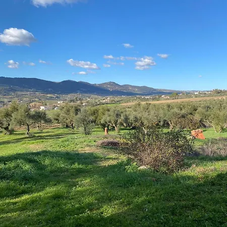 El Carmen Yoga House * Ronda