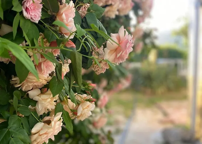 El Carmen Yoga House Vila Ronda